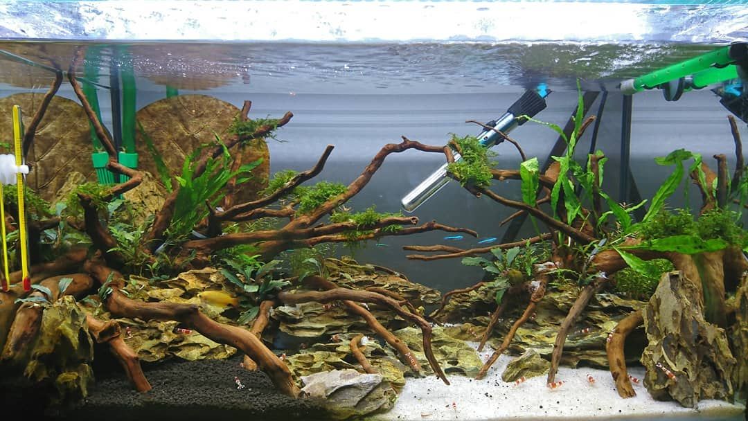 Detail Modif Aquarium Nomer 17