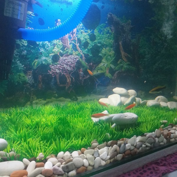 Detail Modifikasi Aquarium Nomer 13