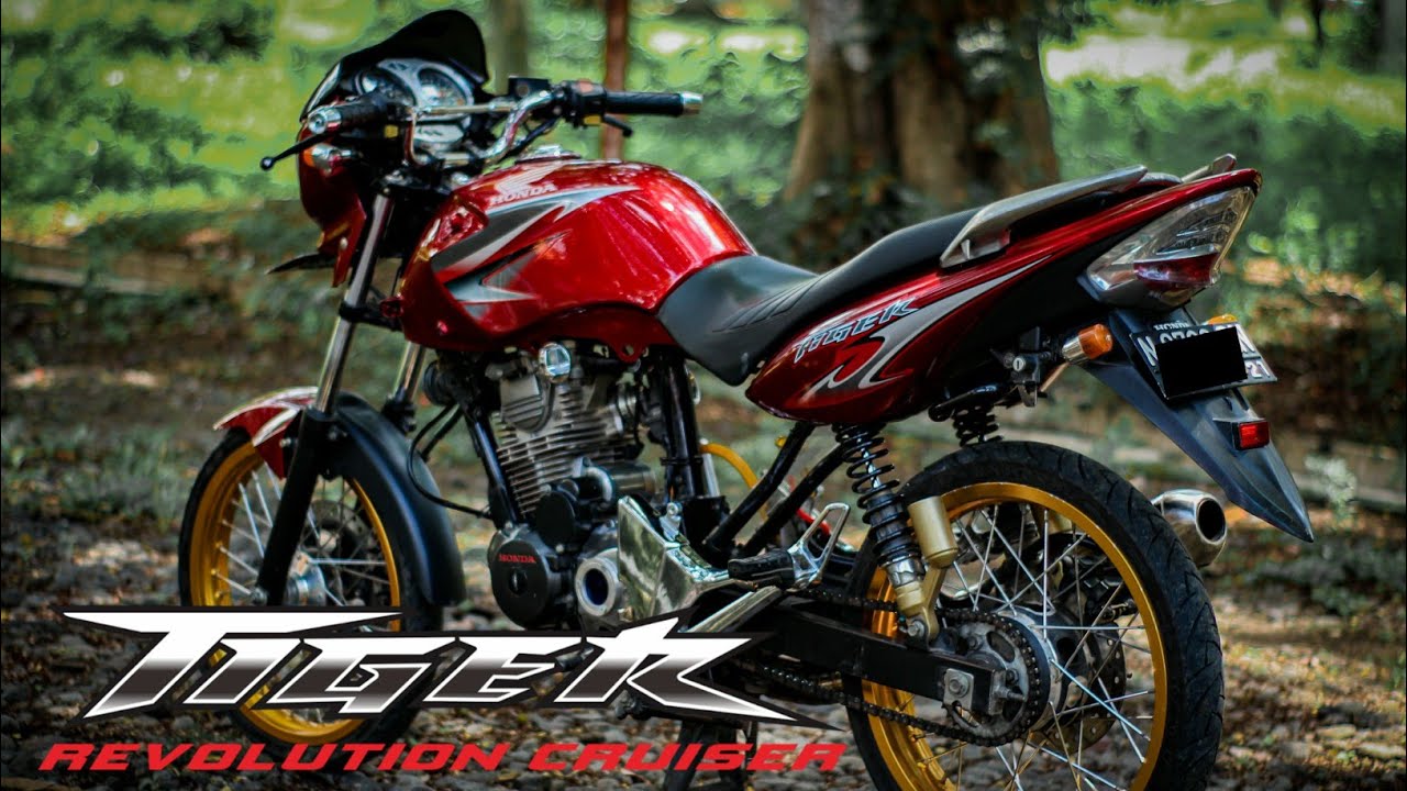 Detail Modifikasi Tiger Pesawat Nomer 11