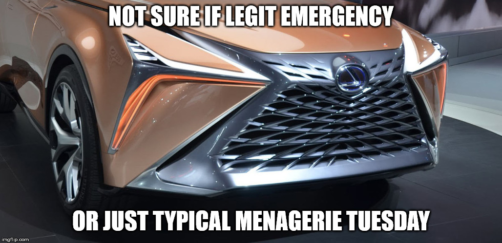 Detail Lexus Grill Meme Nomer 46