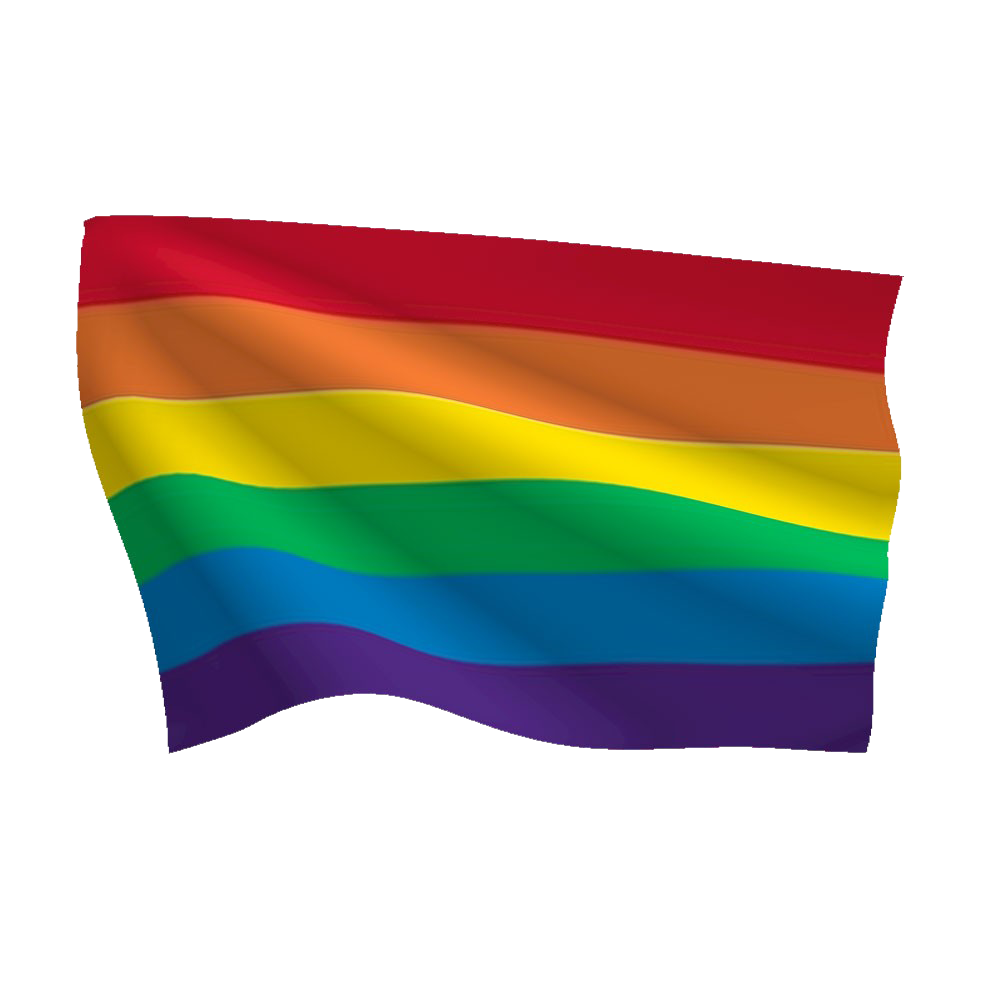 Detail Lgbt Flag Png Nomer 19