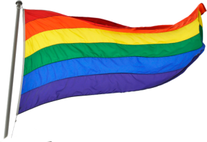 Detail Lgbt Flag Png Nomer 36