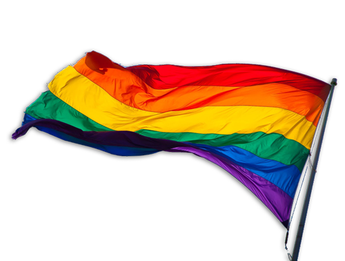 Detail Lgbt Flag Png Nomer 9