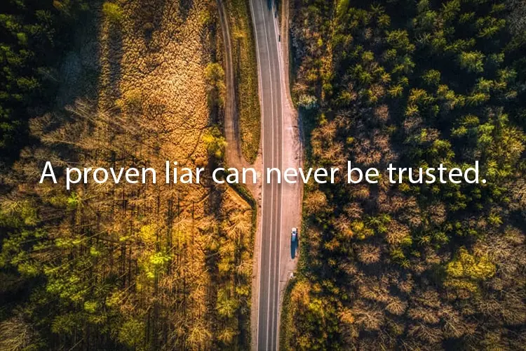 Detail Liar Quotes Relationship Nomer 23