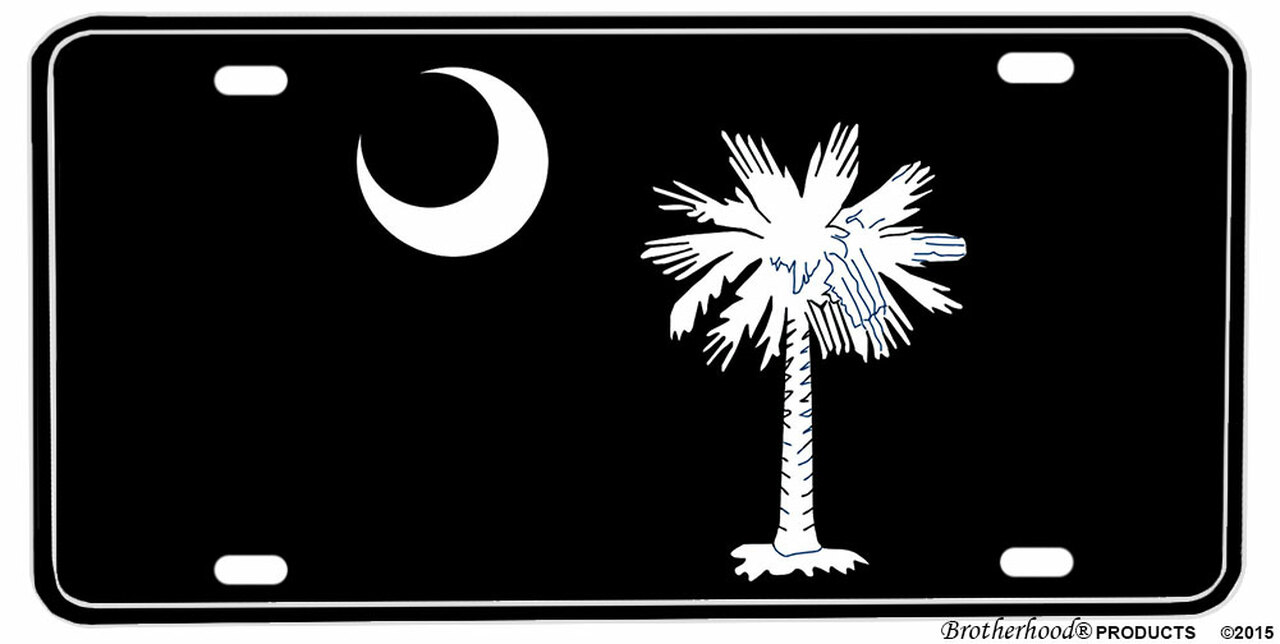 Detail License Plate With Palm Tree And Moon Nomer 9