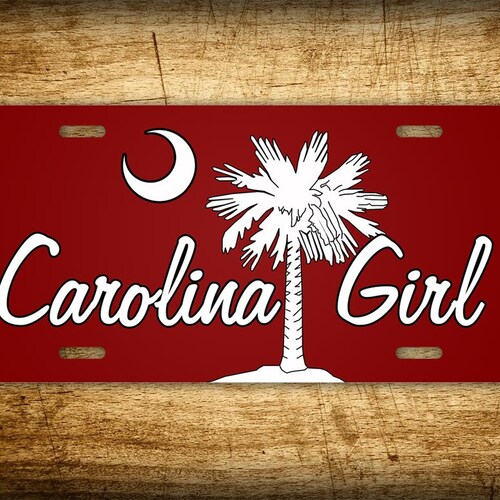 Detail License Plate With Palm Tree And Moon Nomer 10