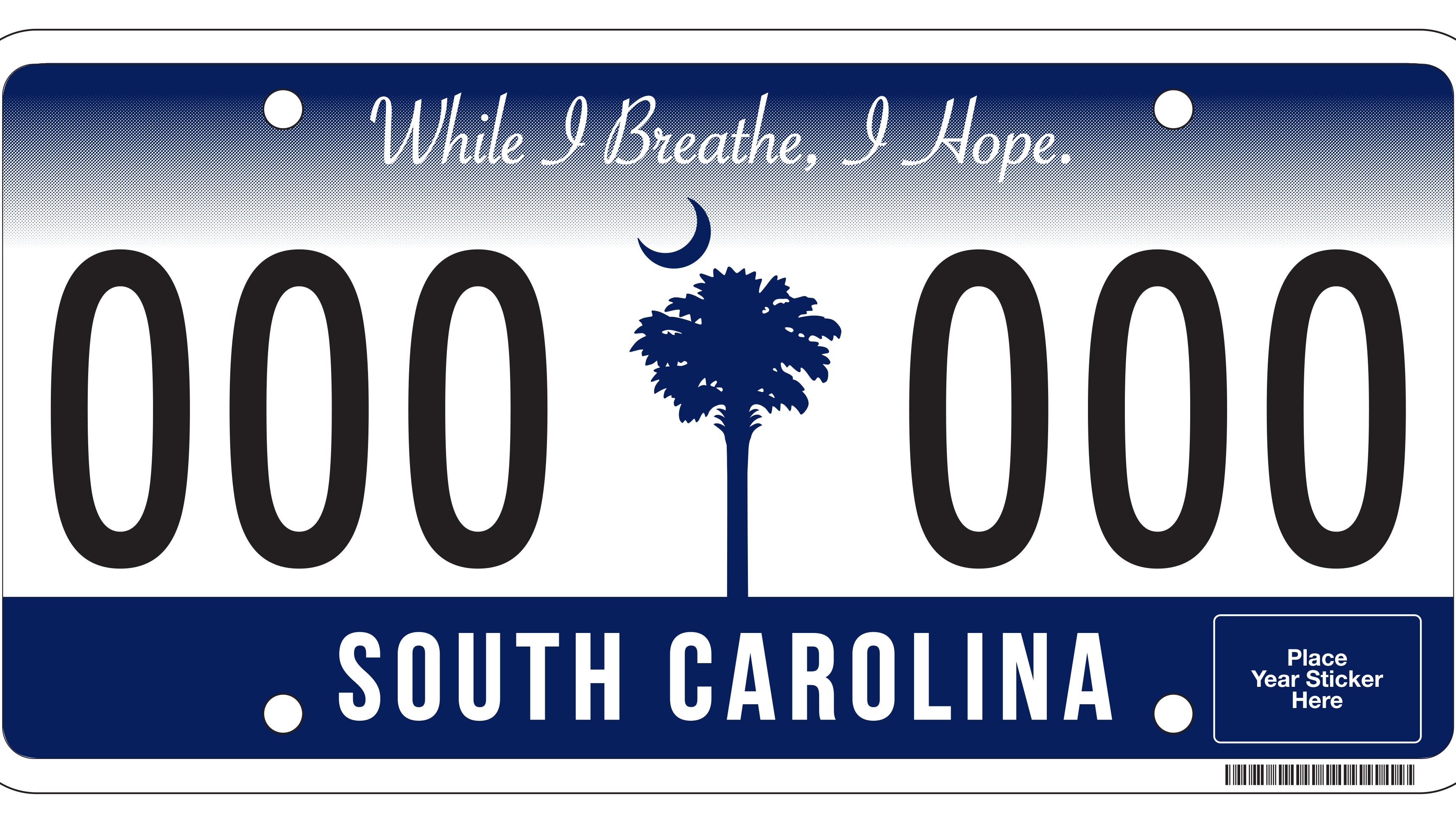 Detail License Plate With Palm Tree And Moon Nomer 11