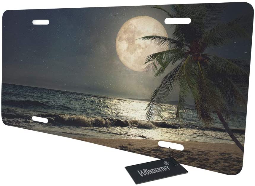 Detail License Plate With Palm Tree And Moon Nomer 15