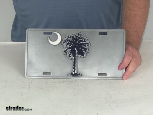 Detail License Plate With Palm Tree And Moon Nomer 19