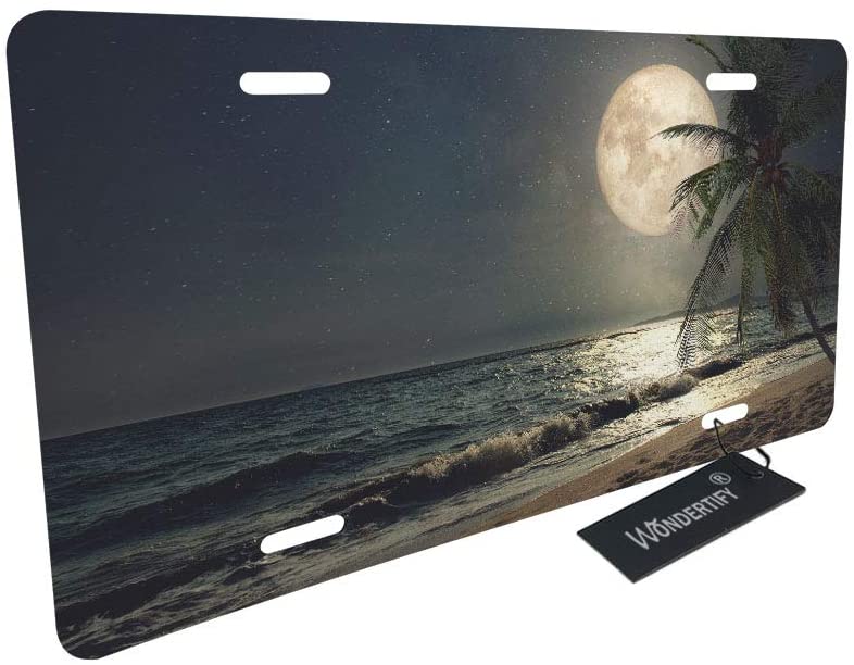 Detail License Plate With Palm Tree And Moon Nomer 28