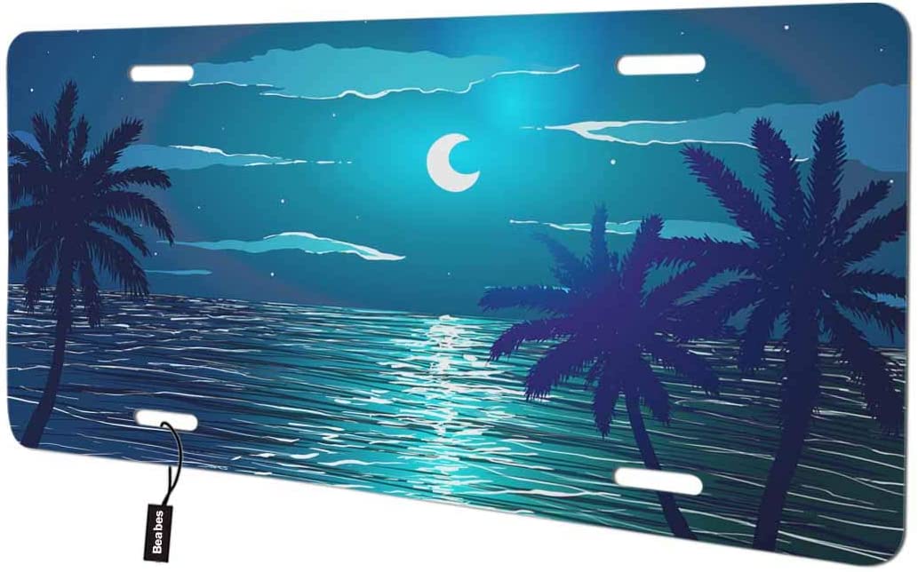 Detail License Plate With Palm Tree And Moon Nomer 31