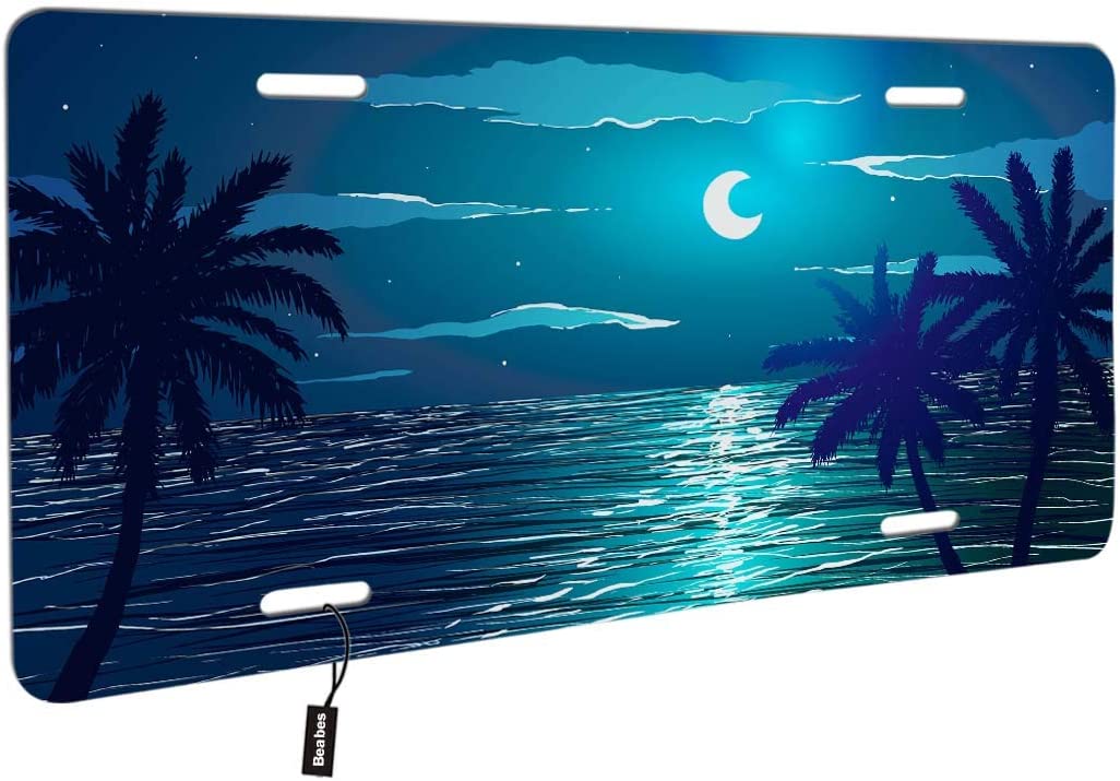 Detail License Plate With Palm Tree And Moon Nomer 33