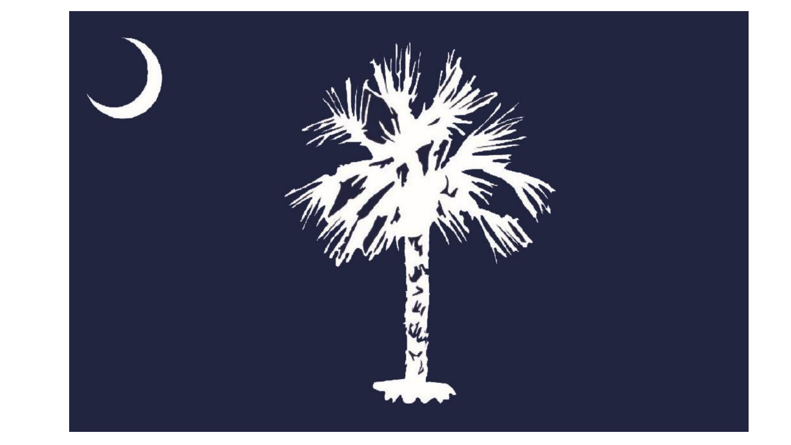 Detail License Plate With Palm Tree And Moon Nomer 37