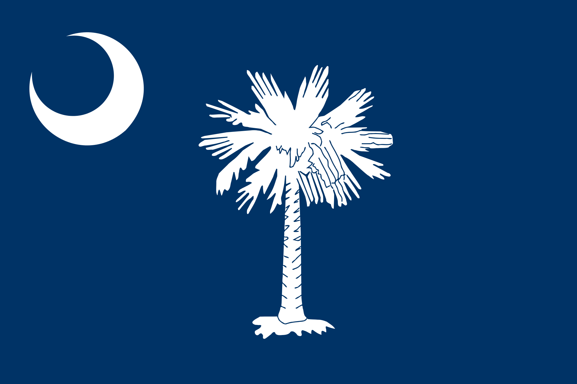 Detail License Plate With Palm Tree And Moon Nomer 38