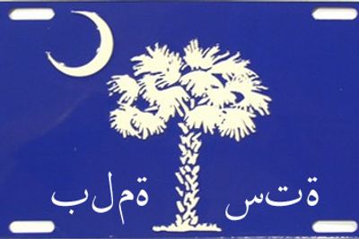 Detail License Plate With Palm Tree And Moon Nomer 39
