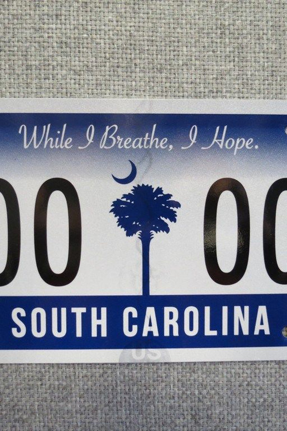 Detail License Plate With Palm Tree And Moon Nomer 40