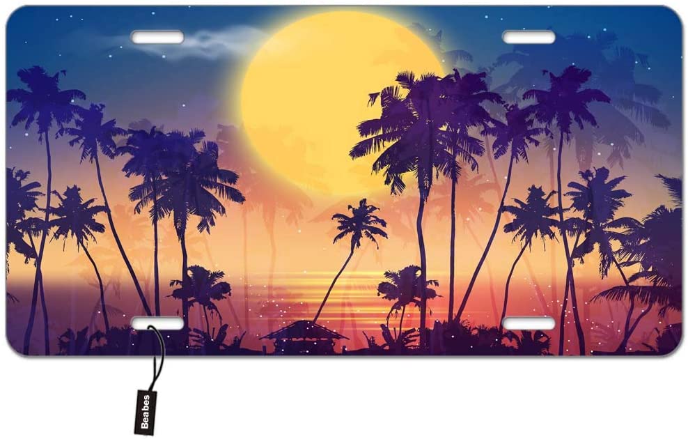 Detail License Plate With Palm Tree And Moon Nomer 43