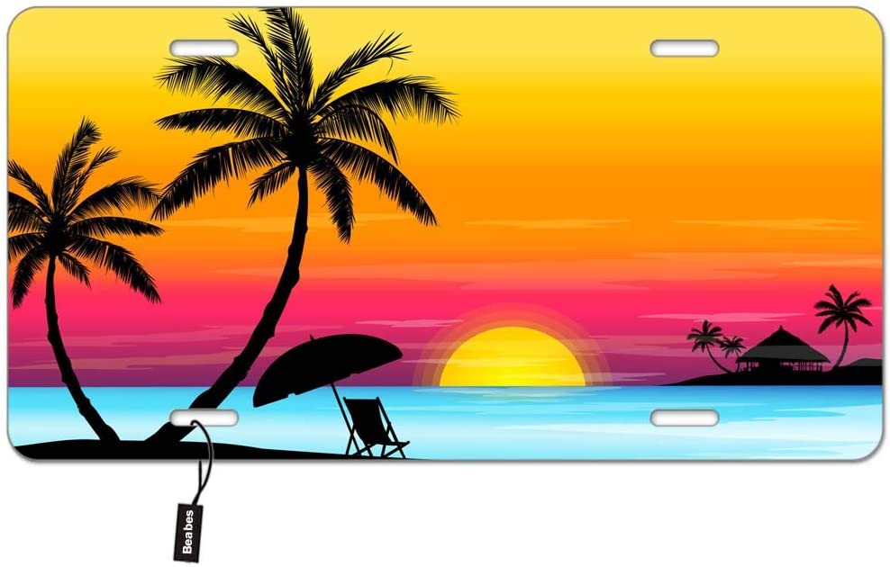 Detail License Plate With Palm Tree And Moon Nomer 44