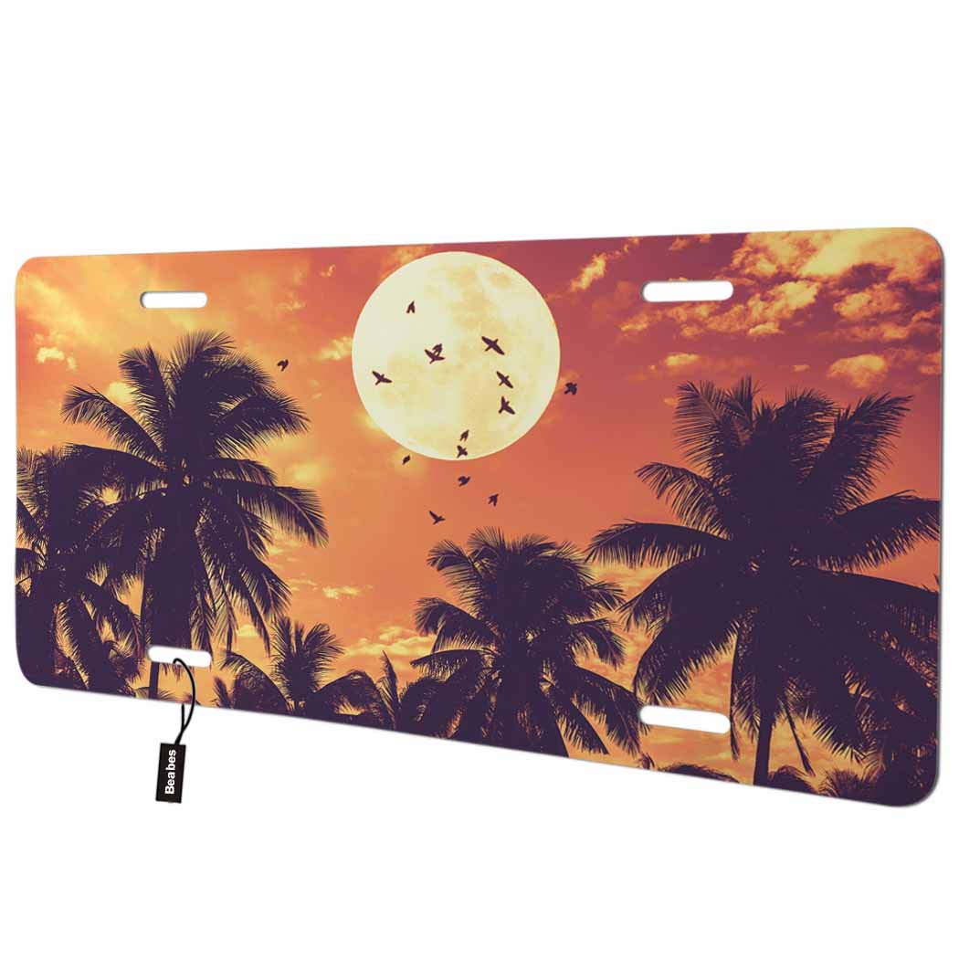 Detail License Plate With Palm Tree And Moon Nomer 46