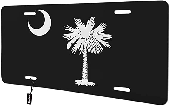 Detail License Plate With Palm Tree And Moon Nomer 7