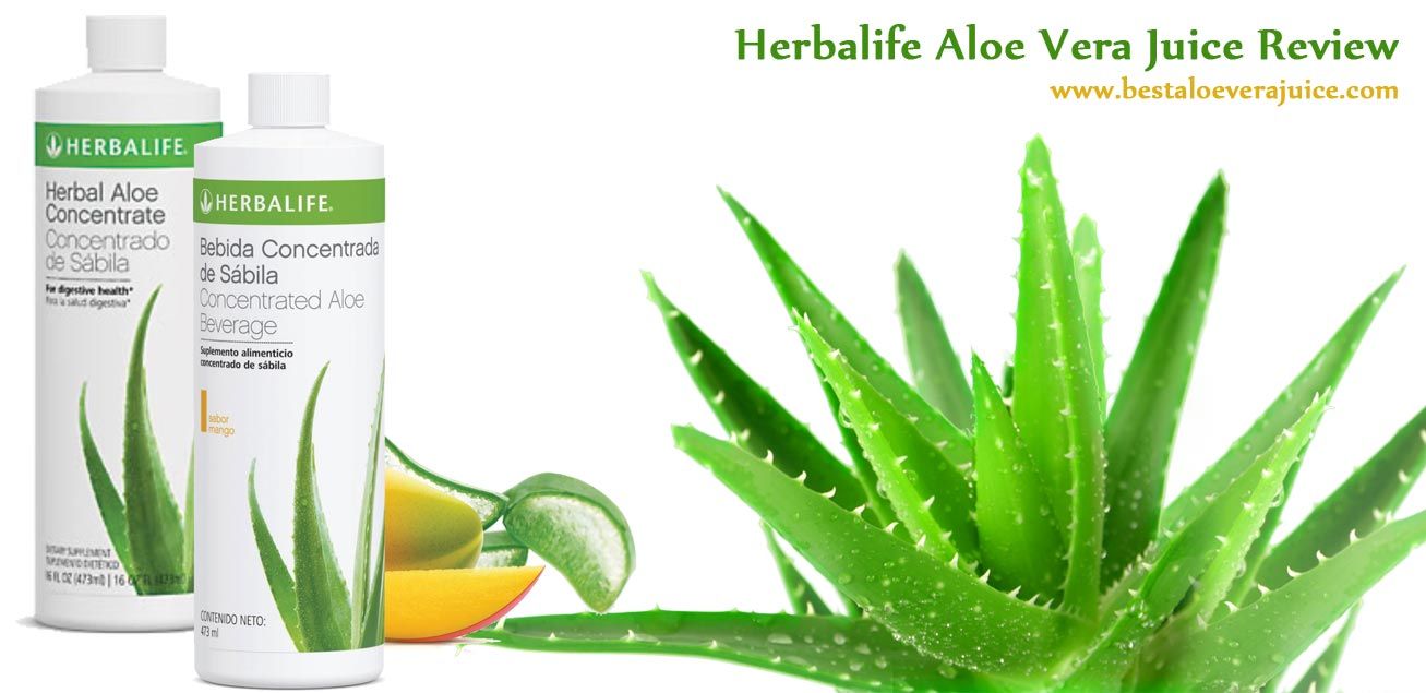 Detail Lidah Buaya Herbalife Nomer 21