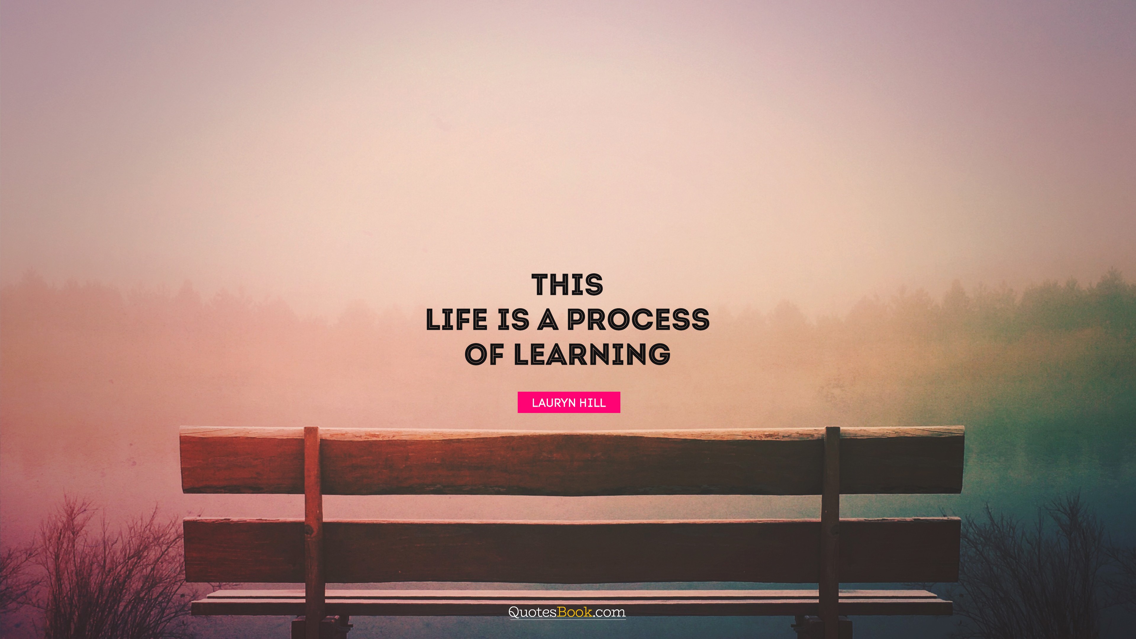 Detail Life Is A Process Quotes Nomer 19