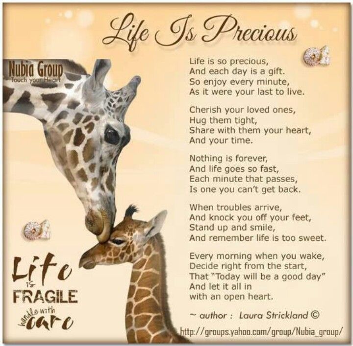 Detail Life Is So Precious Quotes Nomer 30