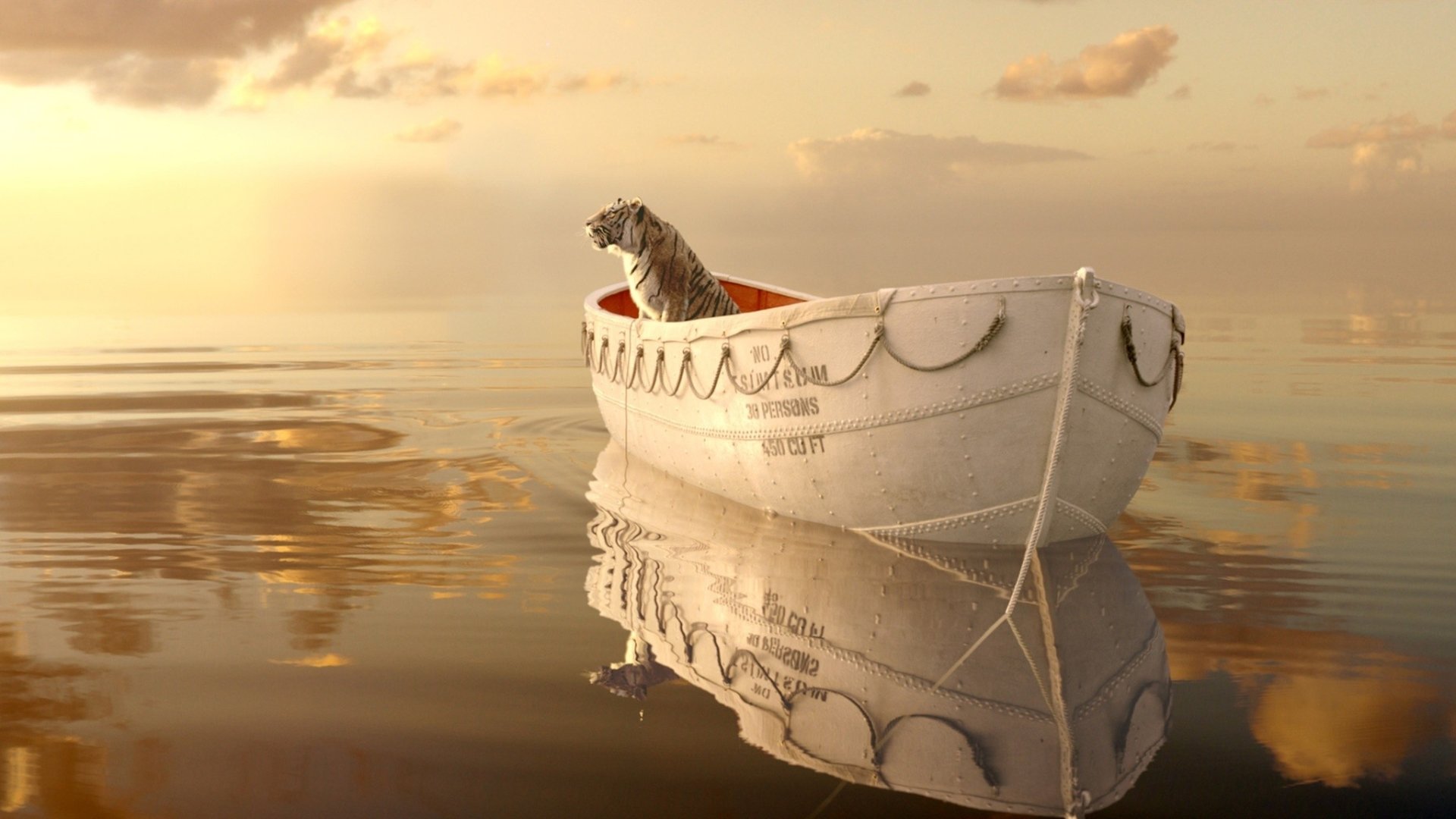 Life Of Pi Wallpaper - KibrisPDR