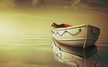 Detail Life Of Pi Wallpaper Nomer 11