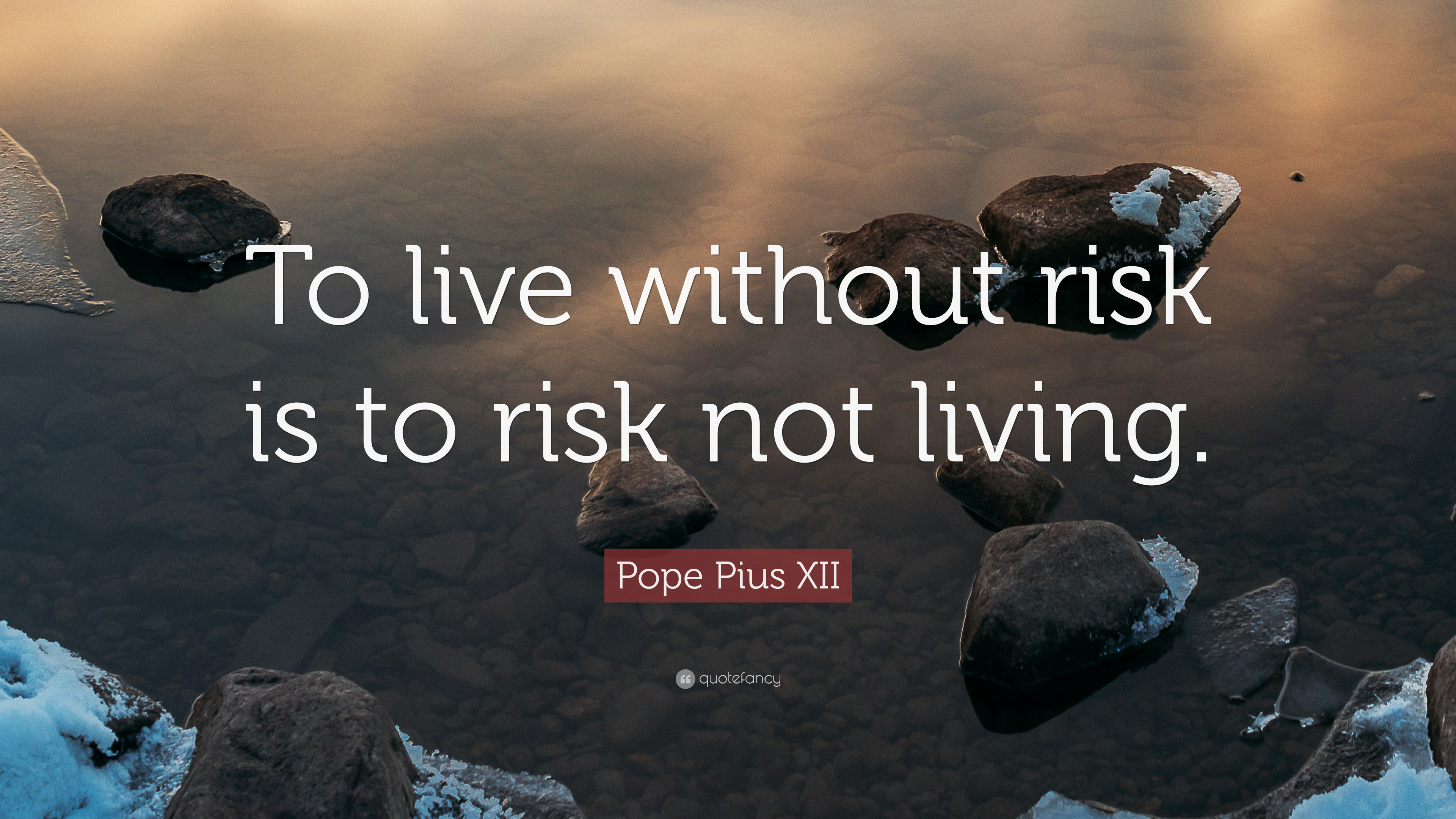 Detail Life Risk Quotes Nomer 20