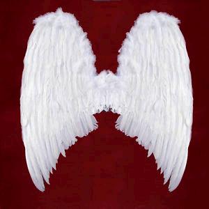 Detail Life Size Angel Wings Nomer 38