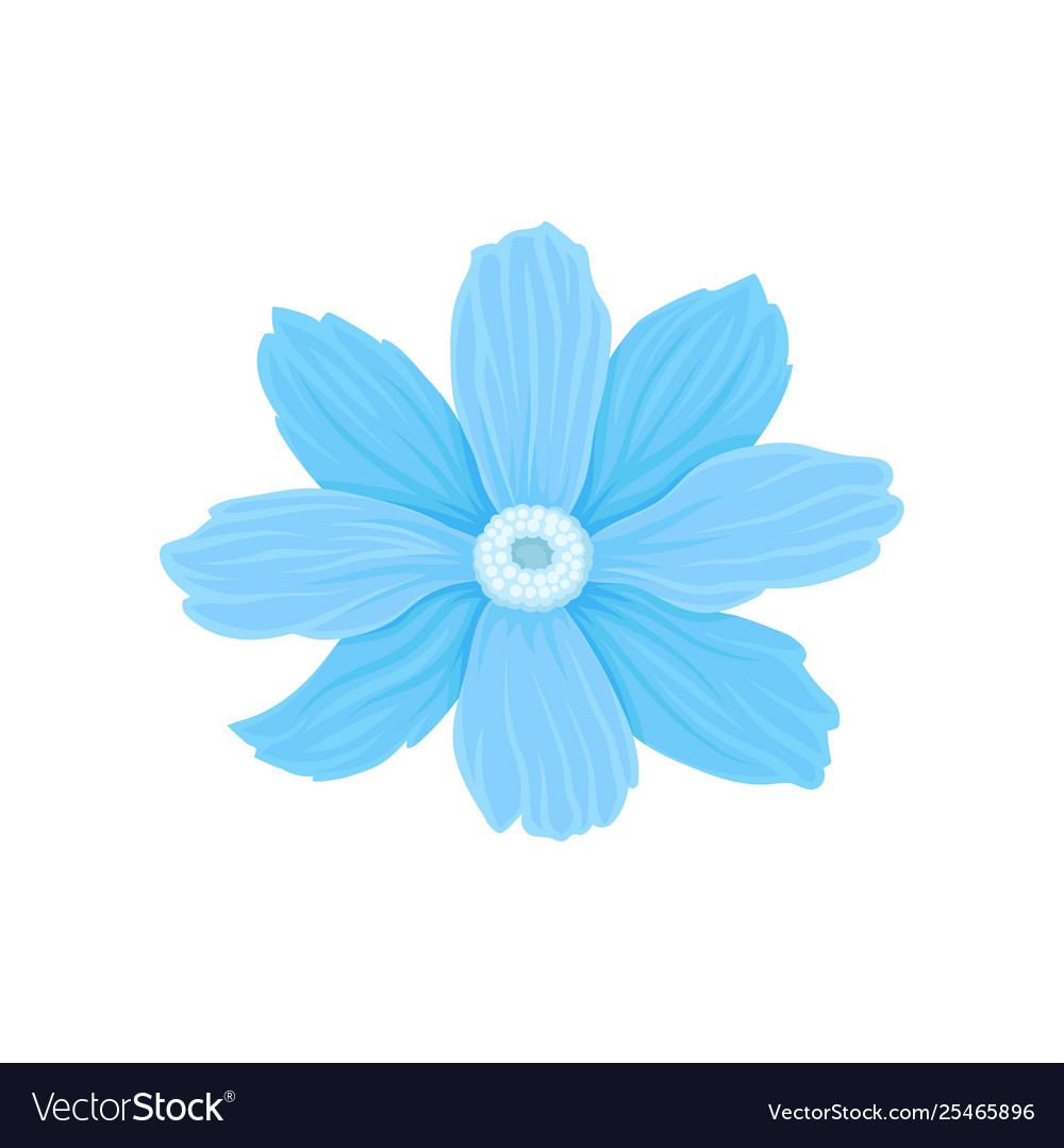 Detail Light Blue Vector Nomer 57