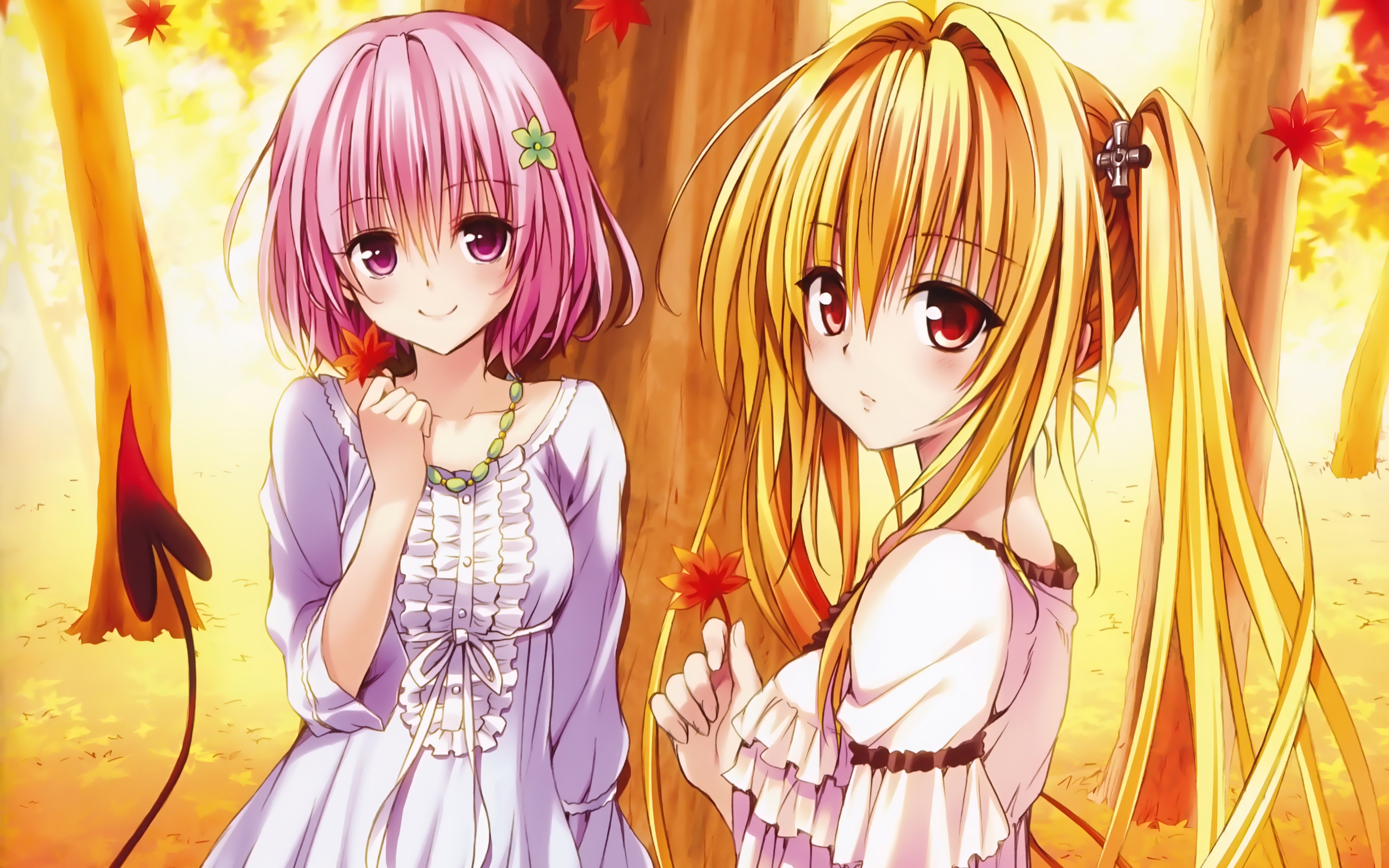 Detail Momo To Love Ru Nomer 58