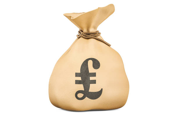 Detail Money Bag Images Free Nomer 43