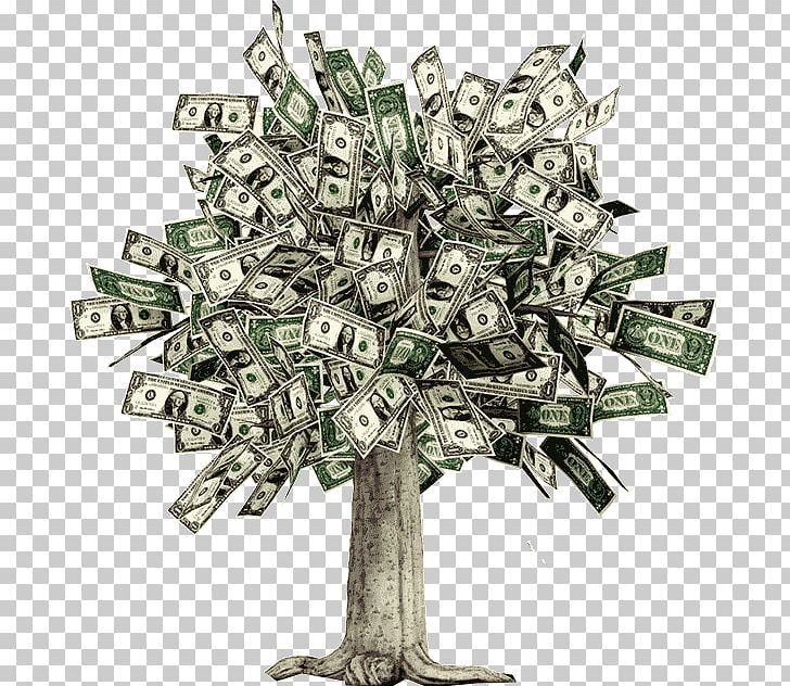 Detail Money Tree Png Nomer 12