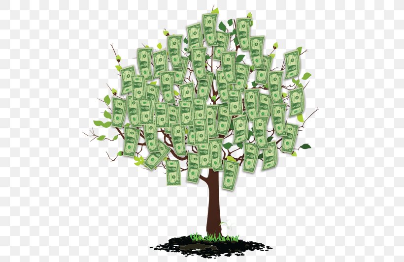 Detail Money Tree Png Nomer 18