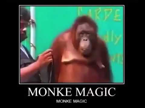 Detail Monke Image Nomer 20