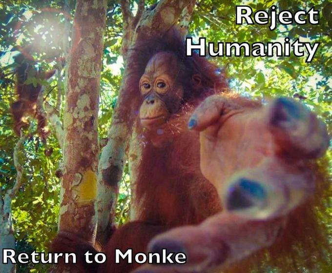 Detail Monke Image Nomer 26