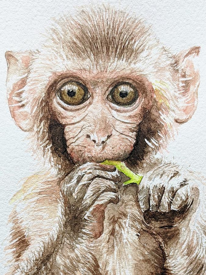 Detail Monke Image Nomer 49