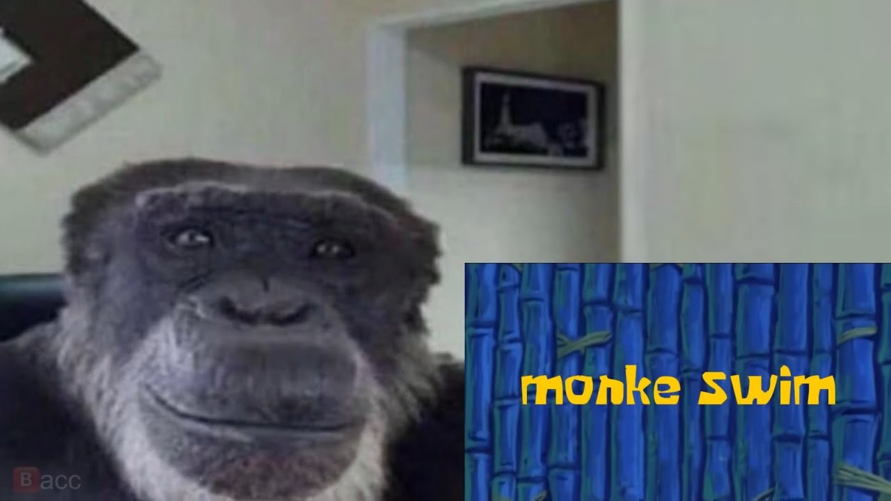 Detail Monke Image Nomer 7