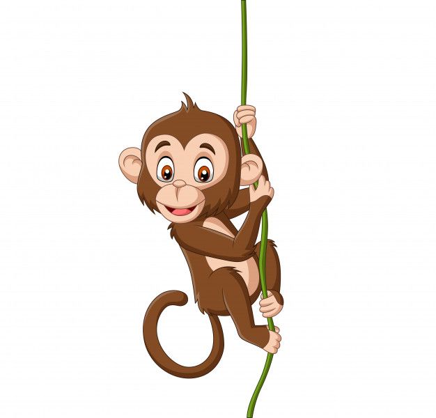 Detail Monkey Animation Cute Nomer 12