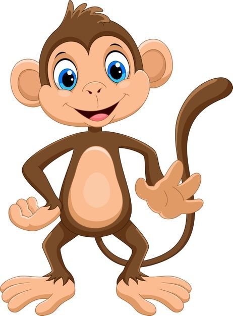 Detail Monkey Animation Cute Nomer 19