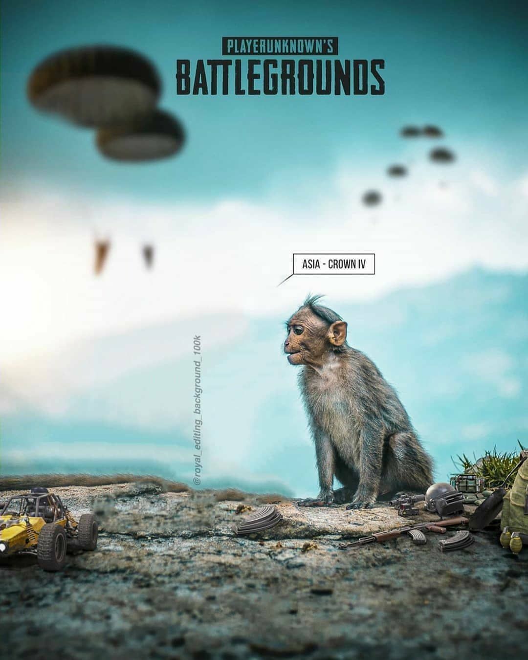 Monkey Background Image - KibrisPDR