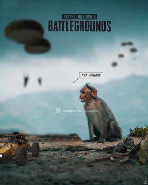 Detail Monkey Background Image Nomer 14