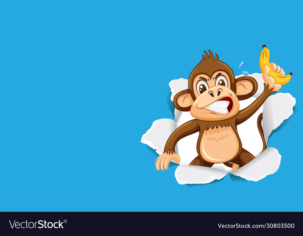 Detail Monkey Background Image Nomer 4