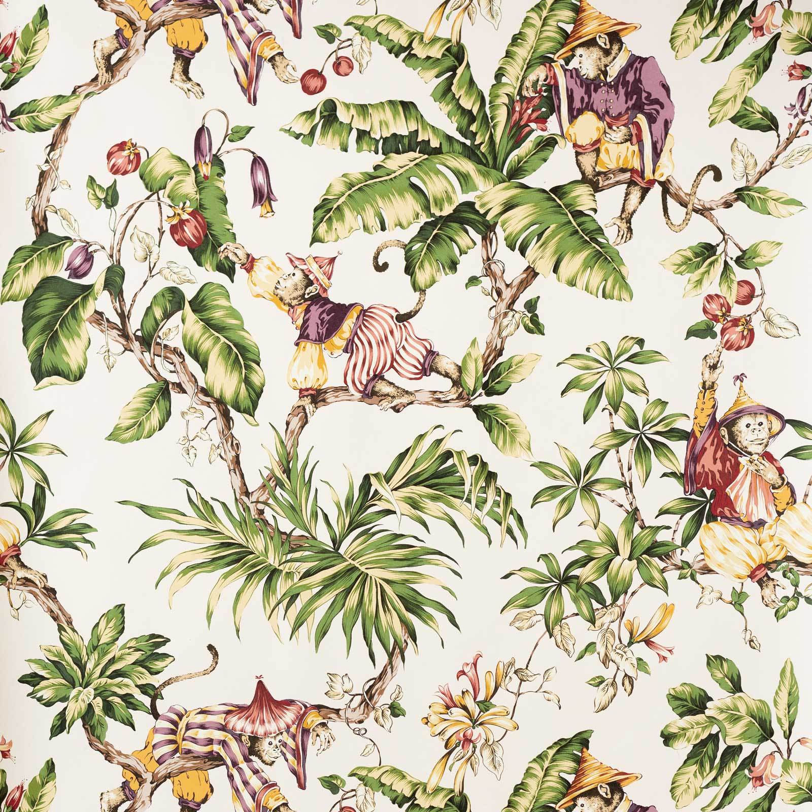 Detail Monkey Background Image Nomer 37
