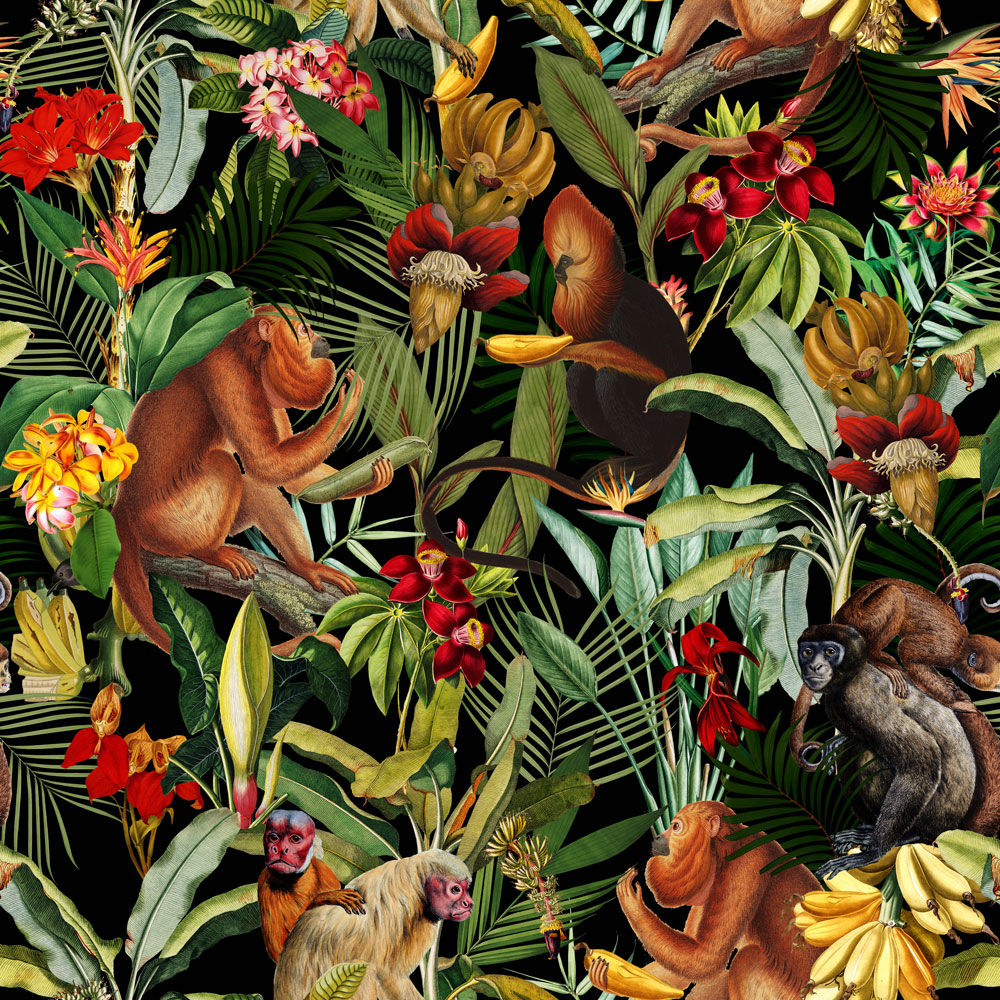 Detail Monkey Background Image Nomer 58