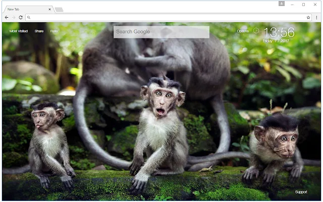 Detail Monkey Background Images Nomer 51