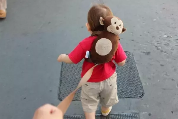 Detail Monkey Backpack Leash Nomer 29