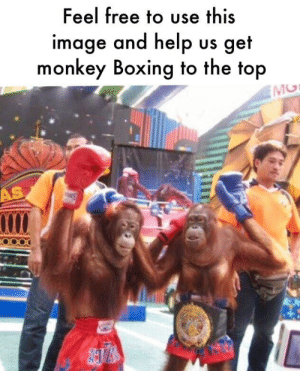 Detail Monkey Boxing Gratis Nomer 47
